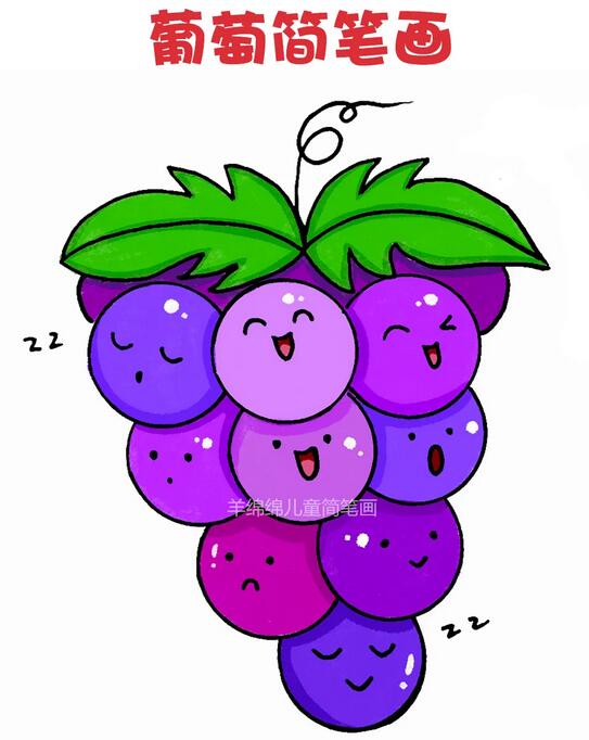 简笔画,美味多汁的葡萄你喜欢吗,葡萄种类有很多,有绿色的还有紫色的