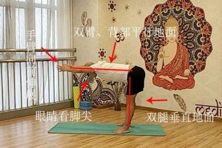 初级瑜伽动作：两组瘦腿瑜伽，增强腿部肌肉