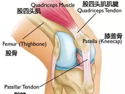 瑜伽站立体式中，保护膝盖的三个要点