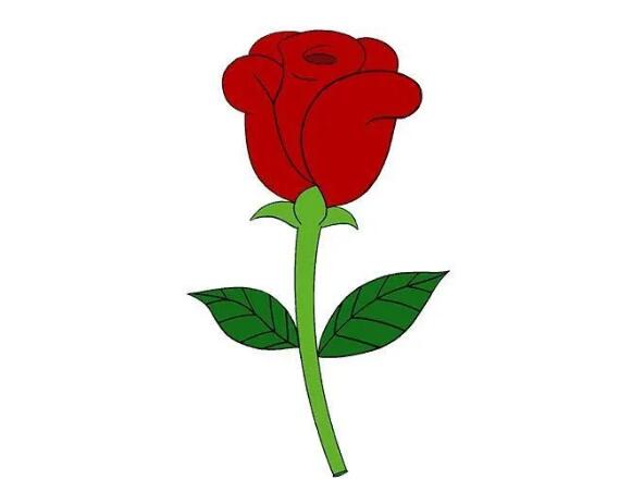 一朵玫瑰花简笔画教程图片