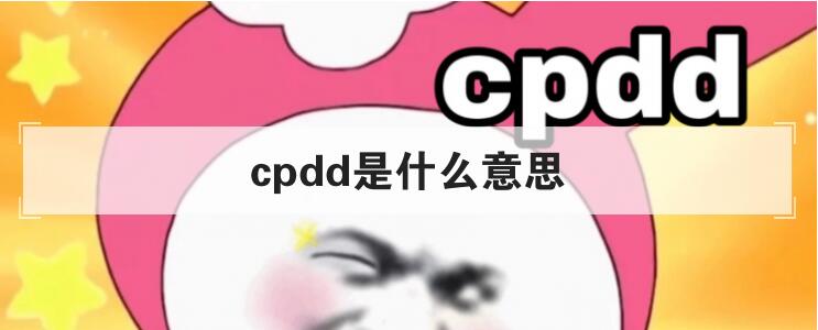 cpdd是什么意思
