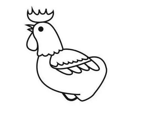 美丽的大公鸡简笔画教程图片