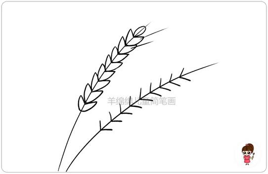 超简单的小麦穗简笔画教程图片