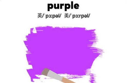 紫色的英语 purple怎么读