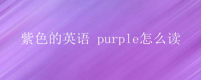 紫色的英语 purple怎么读