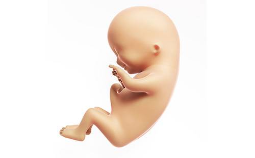 胎儿体重怎样算？胎儿体重要不要控制？