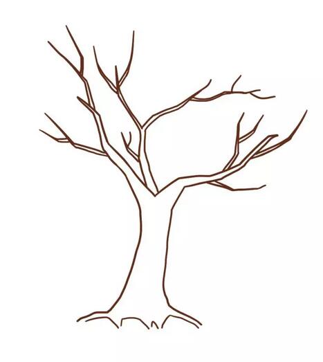 画树的简笔画纹理图片