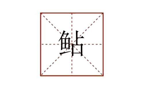 鱼占念什么鲇怎么读音