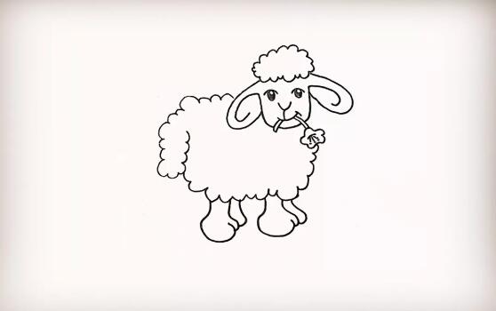 可爱的小绵羊简笔画怎么画