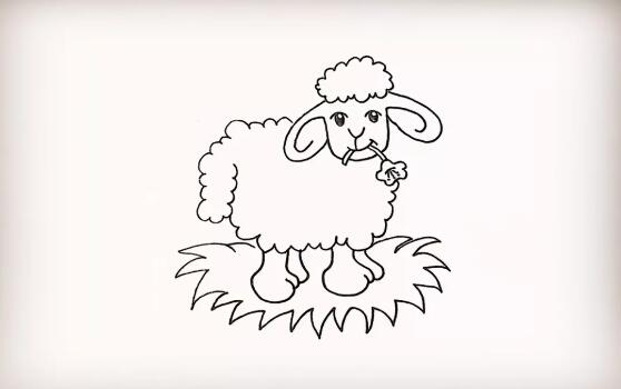 可爱的小绵羊简笔画怎么画
