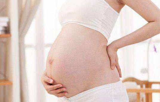 怀胎十个月胎儿都发育成什么样？每月一个防畸小建议,宝妈请收藏