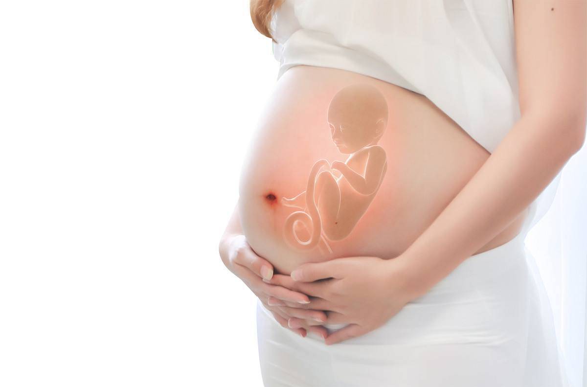 怀胎十个月胎儿都发育成什么样？每月一个防畸小建议,宝妈请收藏