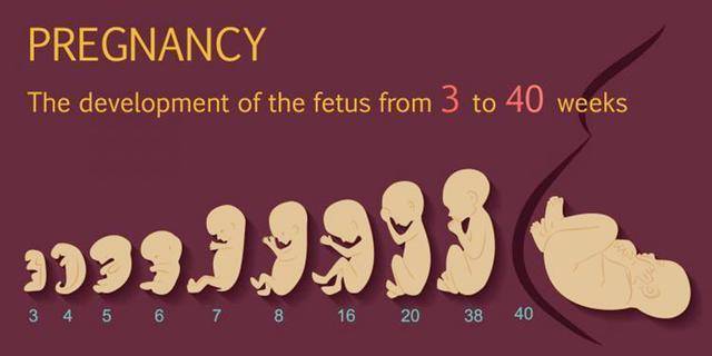 胎儿多少周出生算正常？孕晚期这4点做到位,孕妈安心孩子足月生
