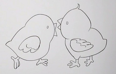 如何画小鸡简笔画步骤