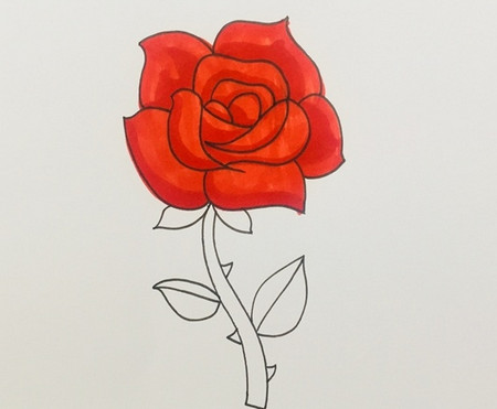 盛开的玫瑰花简笔画怎么画步骤图解