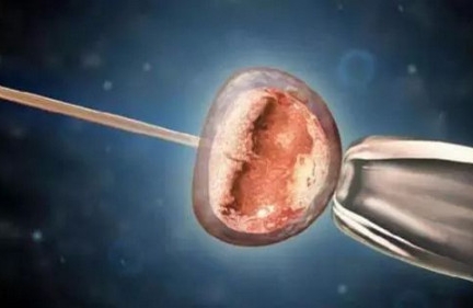 移植前出现这两种情况下可能会无胚胎可用！