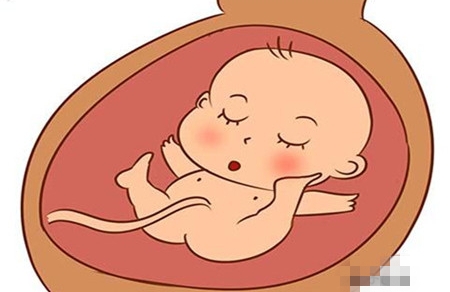 胎儿窘迫的主要表现有哪些