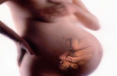 脐带扭转胎儿还会发育吗 胎儿脐带要护好