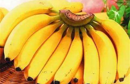 产后香蕉要怎么吃 香蕉不只能生吃，香蕉食谱教给你