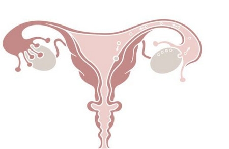子宫内膜薄，备孕女性比较关心的几件事