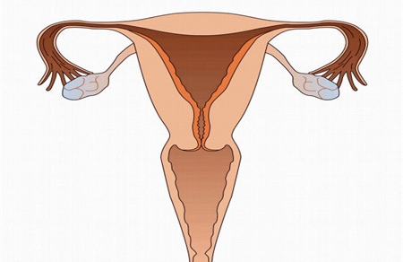 宫角妊娠的原因是什么 这些因素可避免