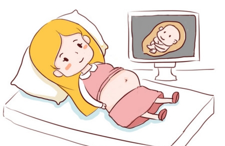 预产期能看出胎儿性别？如何做到足月生产？