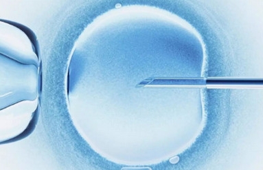 促排卵会加速卵巢衰竭？这是真的吗？