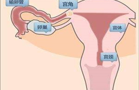 宫角妊娠如何手术 带你了解手术全过程