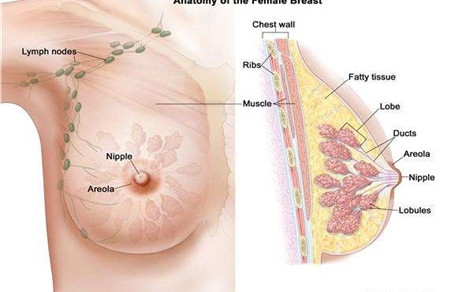 乳头内陷会得乳腺癌吗 两者关联要知晓