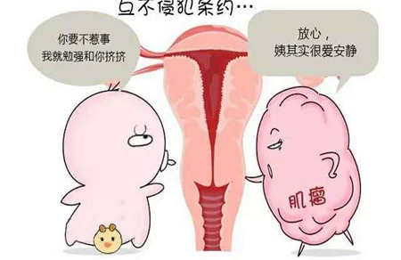 宫底肌瘤影响怀孕吗 女性朋友要警惕