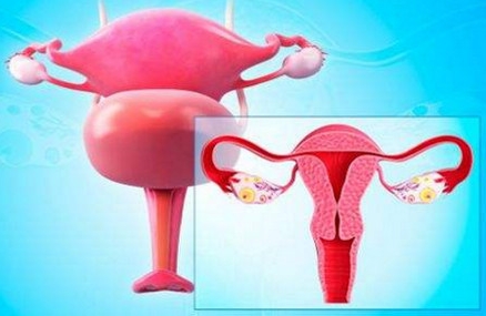 什么样的子宫内膜最利于怀孕？