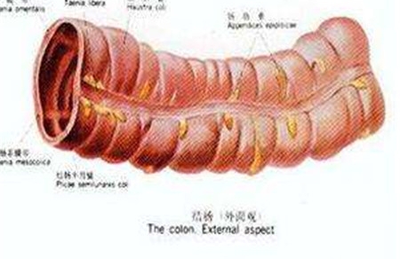 胎粪会导致肠管扩张吗 这些影响要知晓