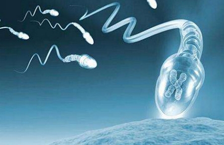 精子不液化影响正常受孕怎么办
