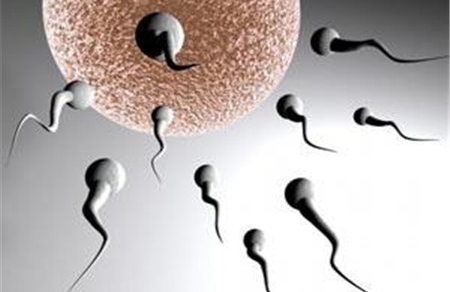 精子质量差影响宝宝吗 男方精子很重要