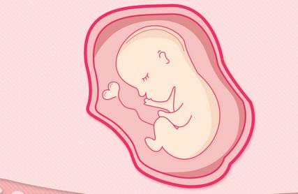 如何预防畸形胎儿