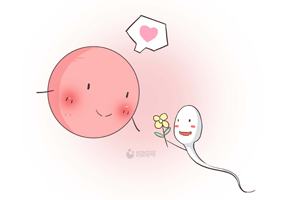 排卵期怎么查卵泡发育