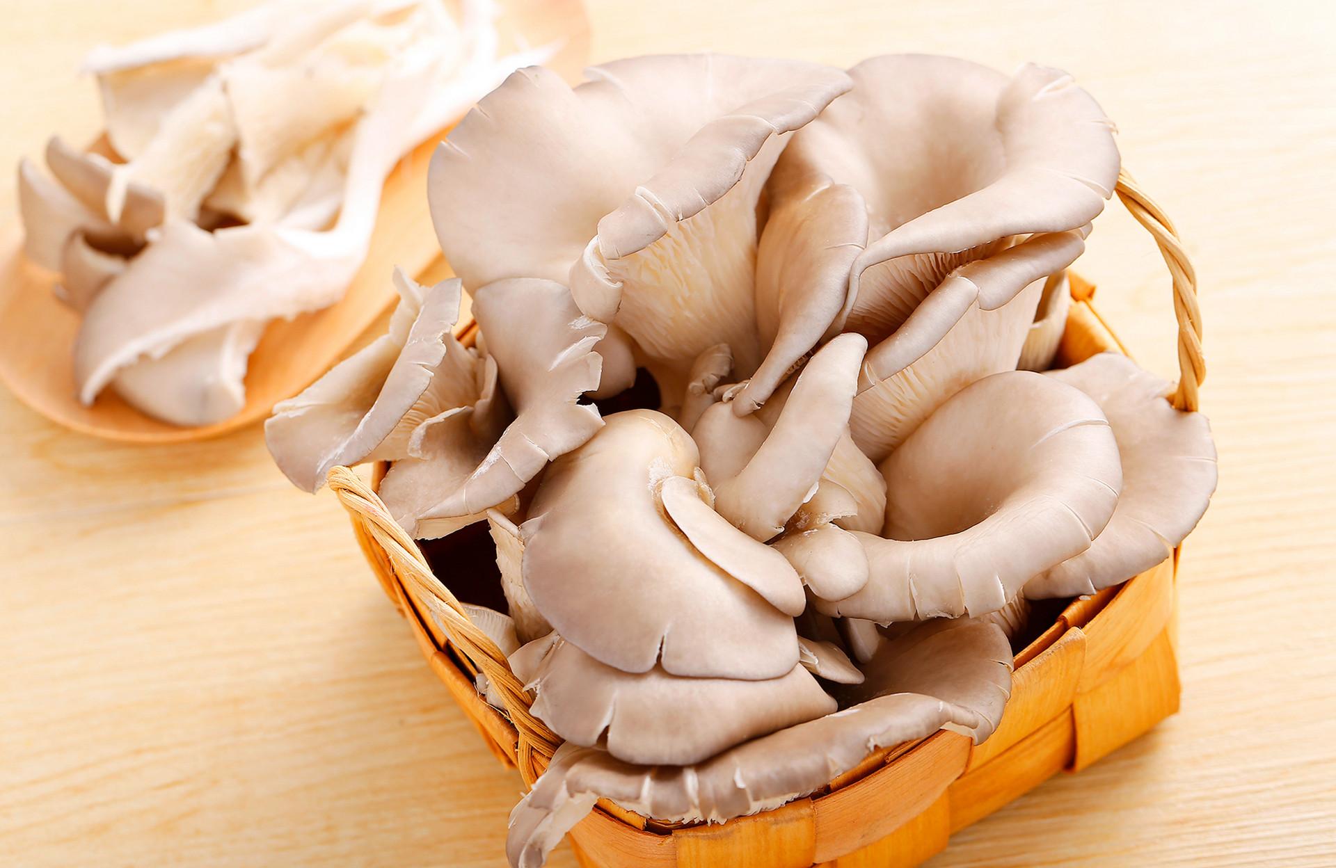 蘑菇有哪些食用功效 哺乳期吃这些蘑菇最好
