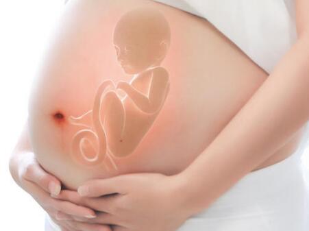 怀孕几个月胎儿最怕噪音