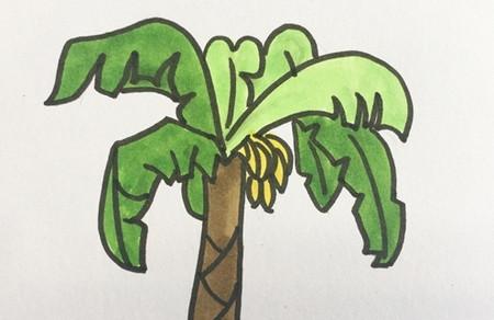 香蕉树怎么画简单又好看