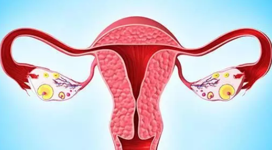 宫外孕手术后可以直接备孕吗 输卵管堵塞是宫外孕的原因吗