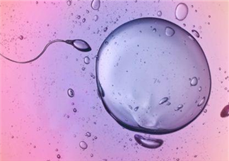试管婴儿取卵后肚子不舒服是什么原因 反复取卵对卵巢有影响吗