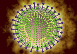 新型冠状病毒传染来源是什么 关于新型冠状病毒的几大谣言