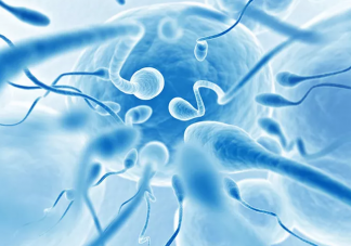 男性精子质量检查包含哪几项 男人备孕怎样提升精子质量