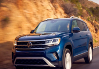 钓鱼红虫多少钱一斤  钓鱼红虫怎么保存