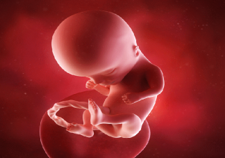孩子在肚子里怎么做亲子鉴定 怀孕做胎儿亲子鉴定安全吗