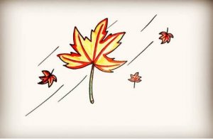 秋天的枫叶简笔画教程图片