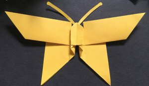 简单的蝴蝶手工折纸图解步骤