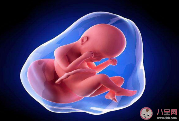 胎教真的能让宝宝变聪明吗