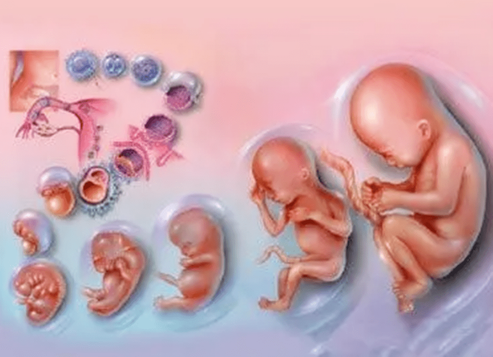 孕期孕妈是否＂缺钙＂,身体这些部位会发出信号,中招的孕妈快补
