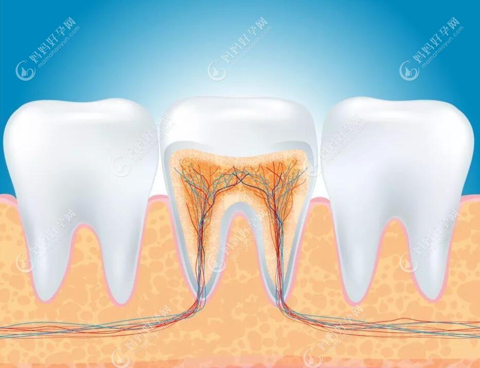 门牙做了根管治疗还可以矫正吗?担心根管牙不能承受正畸力